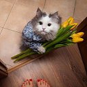 ���� ����, ����� - ��������� 8 ����� 2016 � ������ ������ ��������