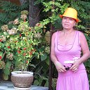  . !, , 62  -  16  2015    