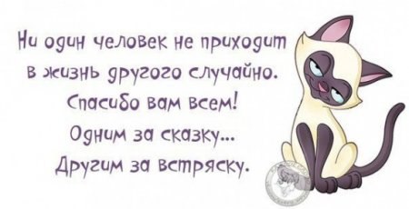    - 14  2015  16:53