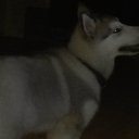 ���� �����, ������� - ��������� 23 ������ 2016 � ������ ������������ �������