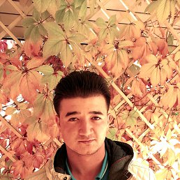 ���� �����, �����-��������� - ��������� 7 ������� 2015