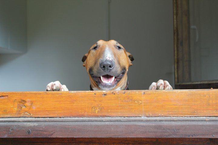 Доброе утро! впереди выходной, набираемся сил перед рабочей неделей)