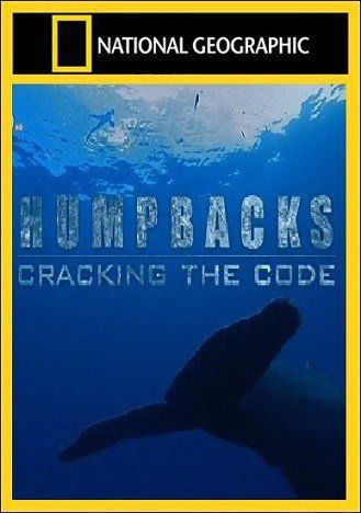 ����-�������: �������� ����.(Humpbacks: Cracking the Code)����������� ������������ �������� ����� � ...