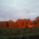 ���� �����, �����-���������, 51 ��� - ��������� 20 ������� 2016 � ������ ��� �������