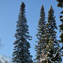 ���� ������, ������, 52 ���� - ��������� 30 ������ 2016 � ������ ��������2016�