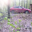 ���� �������, ��������� - ��������� 13 ������ 2016 � ������ ���� ����������