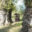 ���� �����, ������, 63 ���� - ��������� 25 �������� 2015 � ������ ���� ����������