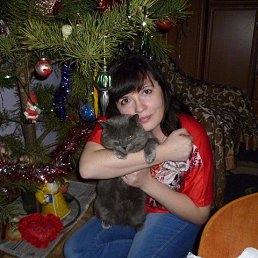 ���� �������, �����������, 46 ��� - ��������� 12 ������ 2016