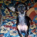 ���� �������, ���������, 56 ��� - ��������� 15 ������� 2015 � ������ ���� ����������