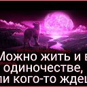 ���� ���������, ���� - ��������� 24 ������ 2016 � ������ ������ ��������