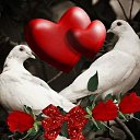 ���� ������ �����, �����������, 66 ��� - ��������� 1 ����� 2016 � ������ ������ ��������