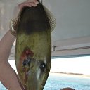 ���� �������, ������ ��������, 45 ��� - ��������� 8 ������� 2015