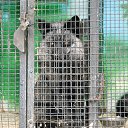 ���� �������, �������, 50 ��� - ��������� 13 ������� 2016 � ������ ���� ����������