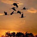 ���� ������, ������, 47 ��� - ��������� 11 ������� 2015 � ������ ������ ��������