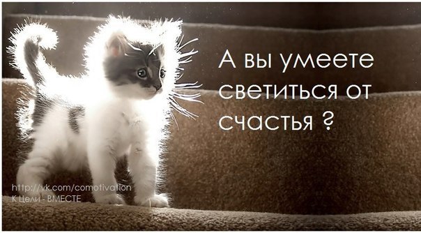 �������� - 16 ������� 2016 � 19:40