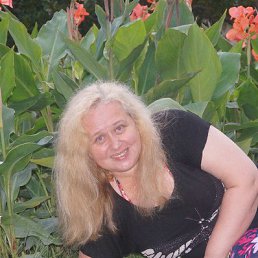 ����, ������-��-����, 56 ���