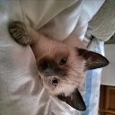 ���� ������, ������� - ��������� 4 ����� 2016 � ������ ���� ����������