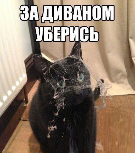    - 5  2016  22:10