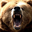 ���� ����-72, ������, 64 ���� - ��������� 29 ������ 2016 � ������ ���� ����������