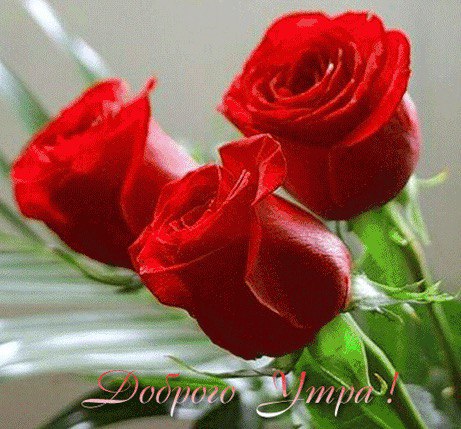 ������ ���� ! ����������� ���, ����� � ��������������� ! -�����������? -�����������... -�� ����? -�� ...