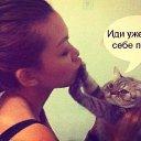 ���� ��� �?, �����-���������, 53 ���� - ��������� 10 ������ 2015 � ������ ������ ��������