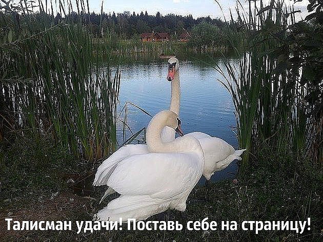 ������� ������ - 22 ������� 2015 � 20:36