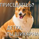 ���� ����, ��������, 47 ��� - ��������� 3 ������� 2016 � ������ ������ ��������