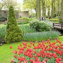 ���� *�����, ������, 49 ��� - ��������� 26 ������� 2015