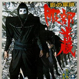 ˸��, ������, 43 ����