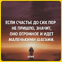 ���� ��������, ����� - ��������� 18 ������� 2015 � ������ ������ ��������