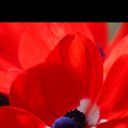 ���� ������, ��������, 60 ��� - ��������� 24 ������ 2015 � ������ ���� ����������