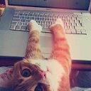 ���� �����, ������ - ��������� 11 ������� 2015 � ������ ������ ��������