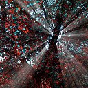 ���� �������, ����� - ��������� 28 ������� 2015 � ������ ���� ����������