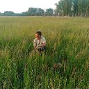 �������� �� ������ ������ �� ������� �������