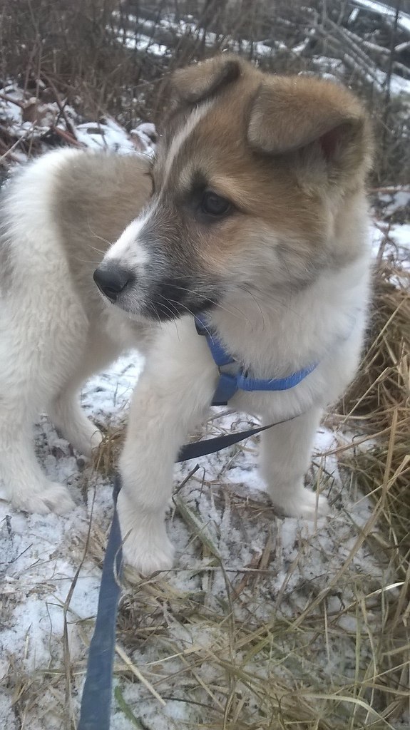 , ,   !!!          ... - 2