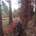 ���� �����, ������, 64 ���� - ��������� 20 ������� 2015 � ������ ������ ��������