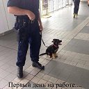 ���� ������, �����-���������, 67 ��� - ��������� 21 ������� 2015 � ������ ������ ��������