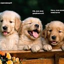 ���� Superuslan., �����, 51 ��� - ��������� 17 ������ 2015 � ������ ������ ��������