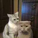 ���� �����, ������, 57 ��� - ��������� 6 ������ 2016 � ������ ���� ����������