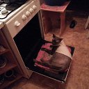 ���� �������, ��������, 76 ��� - ��������� 8 ������� 2016 � ������ ������ ��������