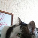 ���� �������, ������, 40 ��� - ��������� 14 ������� 2015 � ������ ���� ����������