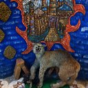 ���� ������, ������, 56 ��� - ��������� 10 ������� 2015 � ������ ���� ����������