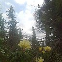 ���� �����, �����������, 56 ��� - ��������� 6 ������� 2016 � ������ ������ ��������