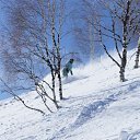 ���� �������, ���, 42 ���� - ��������� 2 ������ 2016 � ������ ���� ����������