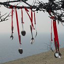 ���� ����, �������, 61 ��� - ��������� 2 ������� 2015 � ������ ������ ��������