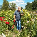 ���� ������, �����������, 62 ���� - ��������� 24 ������� 2015