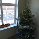 ���� ��, ������, 54 ���� - ��������� 28 ������� 2015 � ������ ������ ��������