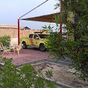 ���� ���� �������, ������, 61 ��� - ��������� 24 ������ 2015 � ������ �����