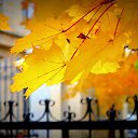 ���� Gala, ������-��-����, 54 ���� - ��������� 26 ������� 2015