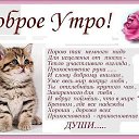 ���� ���������, ������ - ��������� 17 ������� 2016 � ������ ������ ��������